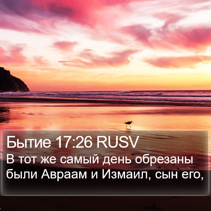 Бытие 17:26 RUSV Bible Study