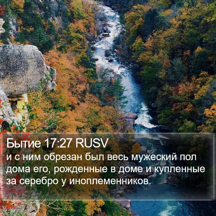 Бытие 17:27 RUSV Bible Study