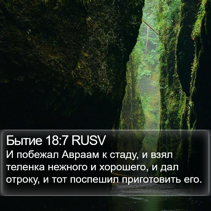 Бытие 18:7 RUSV Bible Study