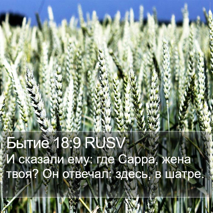 Бытие 18:9 RUSV Bible Study