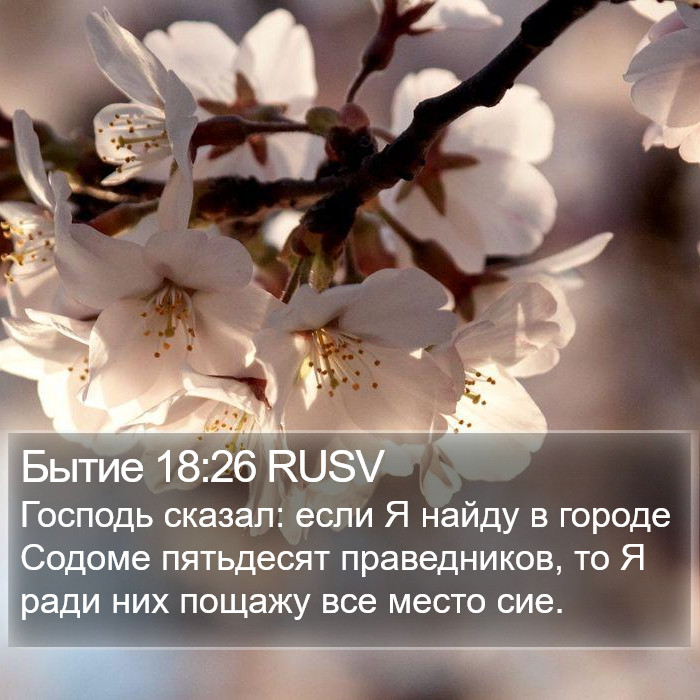 Бытие 18:26 RUSV Bible Study