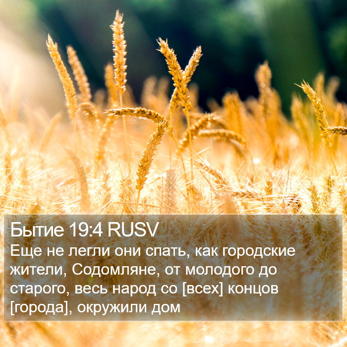 Бытие 19:4 RUSV Bible Study