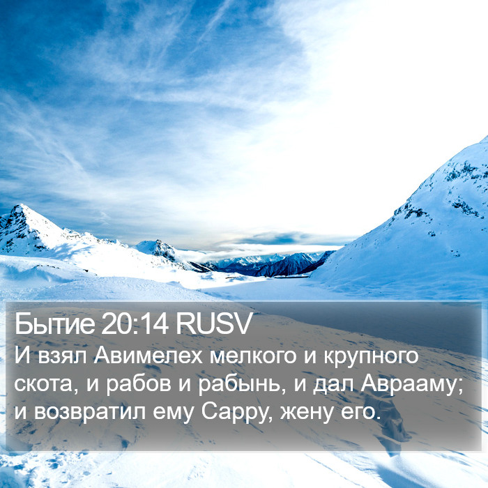 Бытие 20:14 RUSV Bible Study
