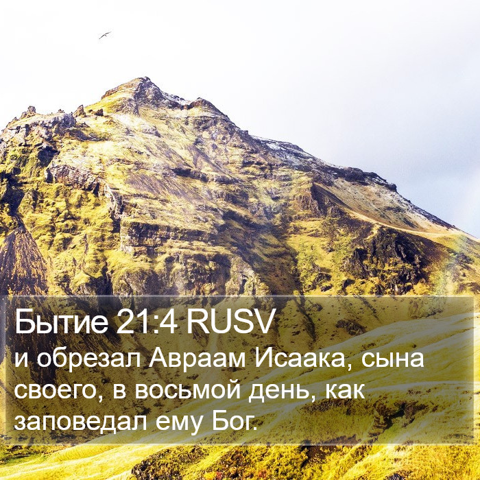 Бытие 21:4 RUSV Bible Study