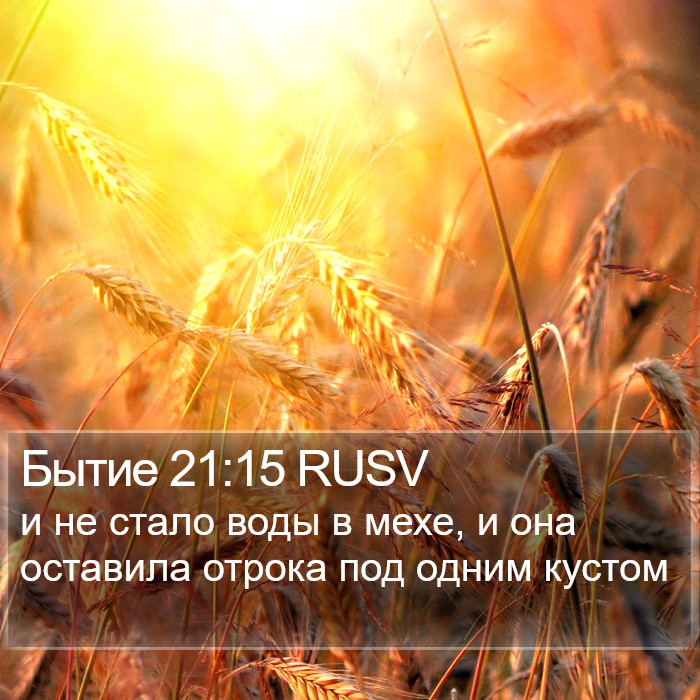 Бытие 21:15 RUSV Bible Study