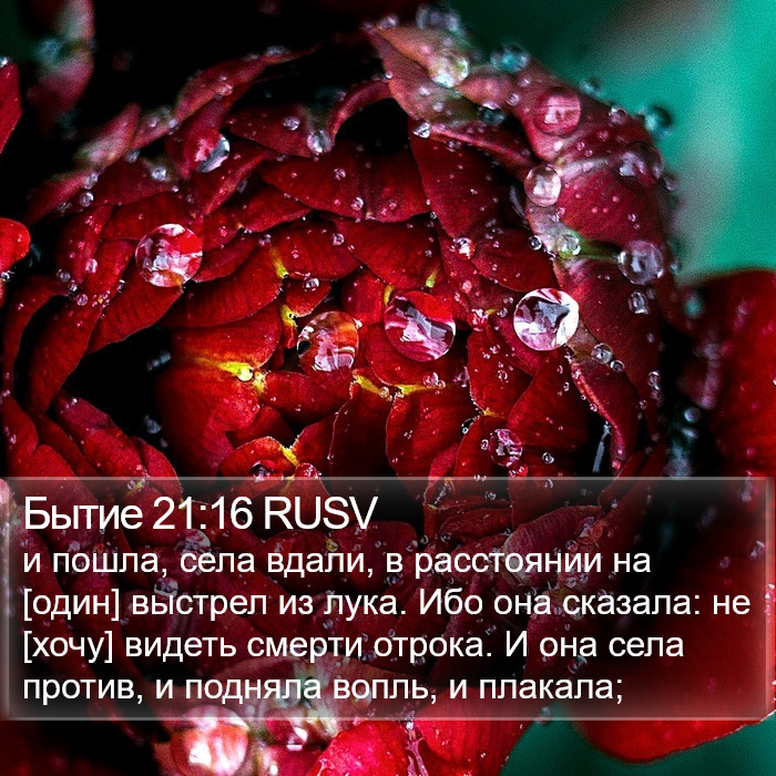 Бытие 21:16 RUSV Bible Study