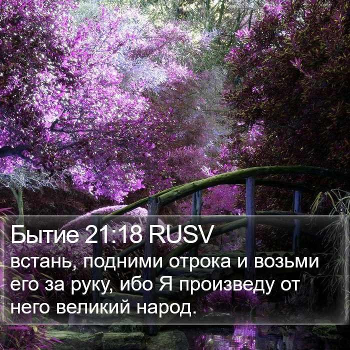 Бытие 21:18 RUSV Bible Study