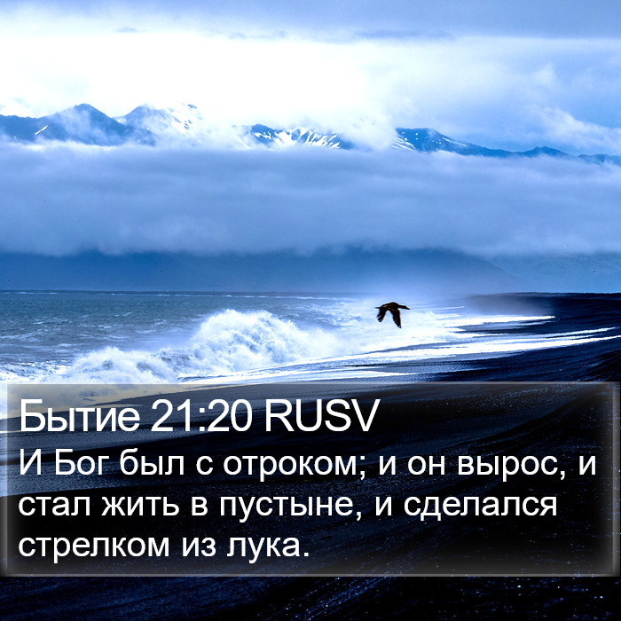 Бытие 21:20 RUSV Bible Study