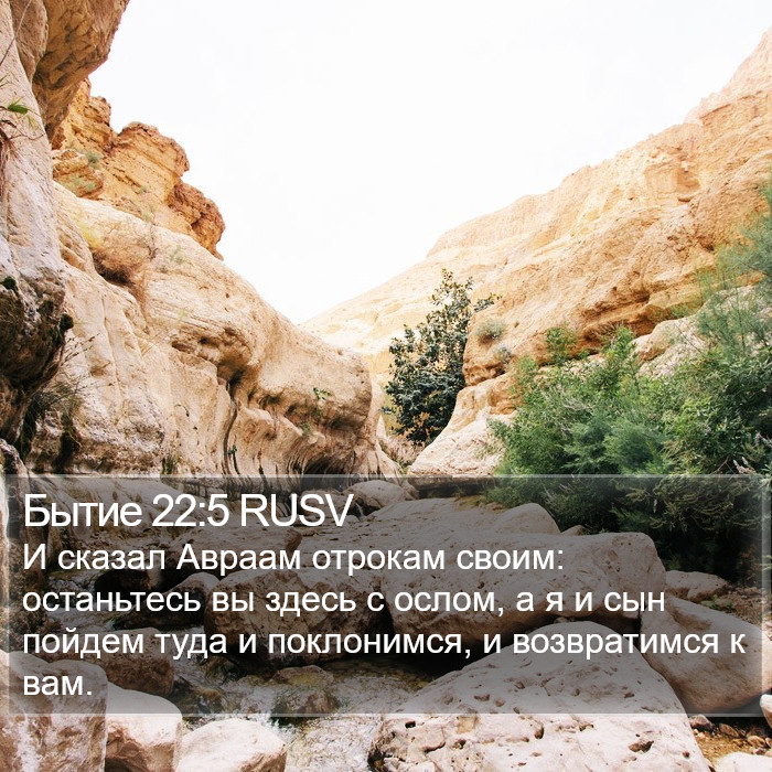 Бытие 22:5 RUSV Bible Study