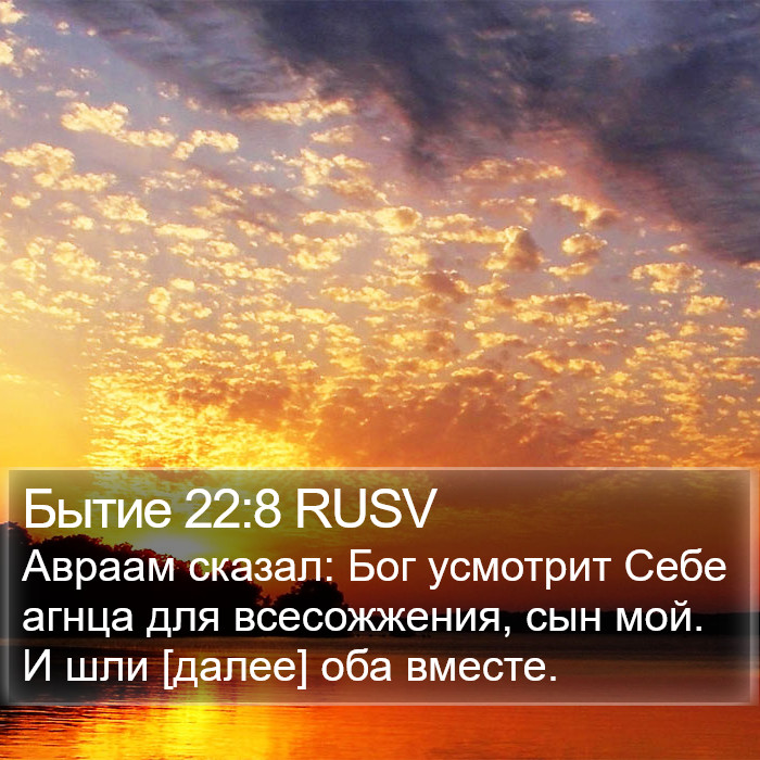 Бытие 22:8 RUSV Bible Study