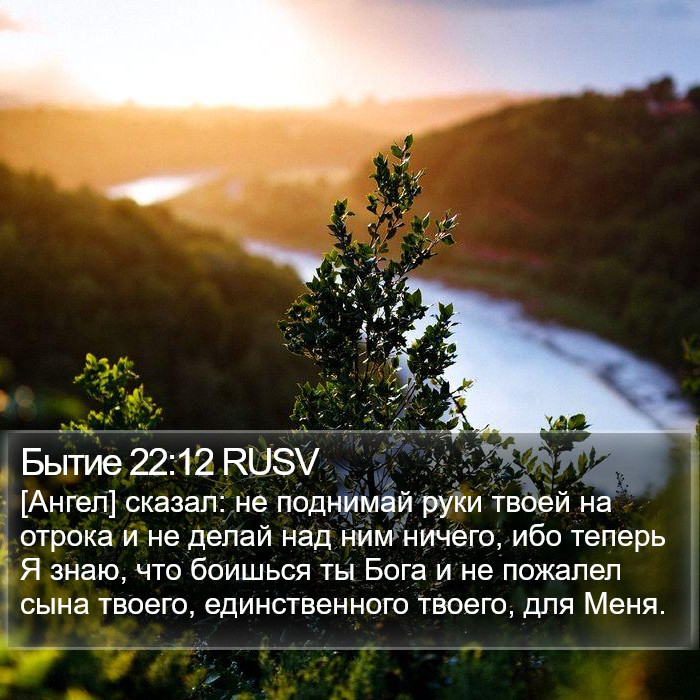 Бытие 22:12 RUSV Bible Study