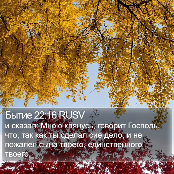 Бытие 22:16 RUSV Bible Study