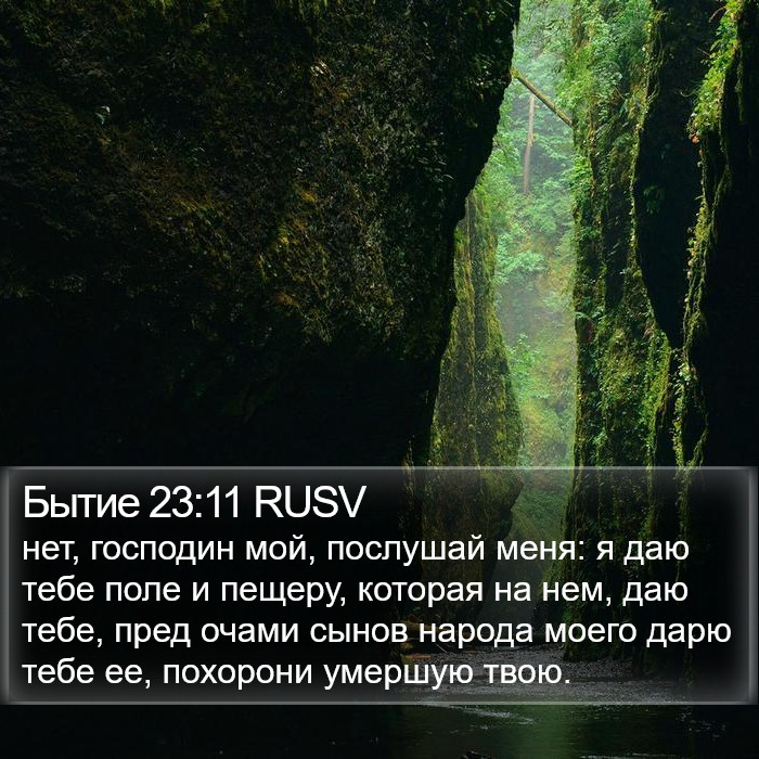Бытие 23:11 RUSV Bible Study