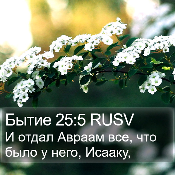 Бытие 25:5 RUSV Bible Study