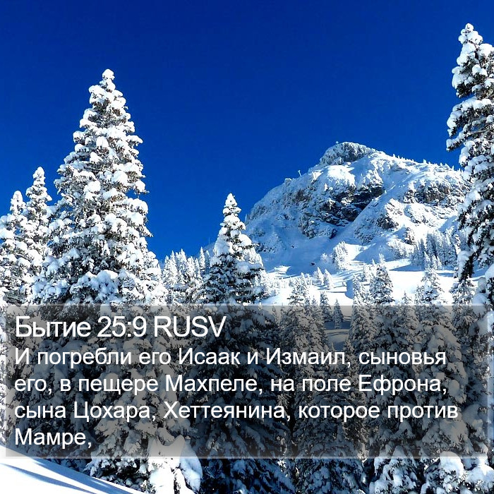 Бытие 25:9 RUSV Bible Study