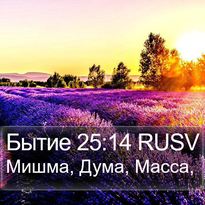 Бытие 25:14 RUSV Bible Study