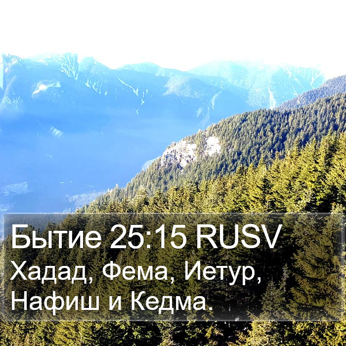 Бытие 25:15 RUSV Bible Study