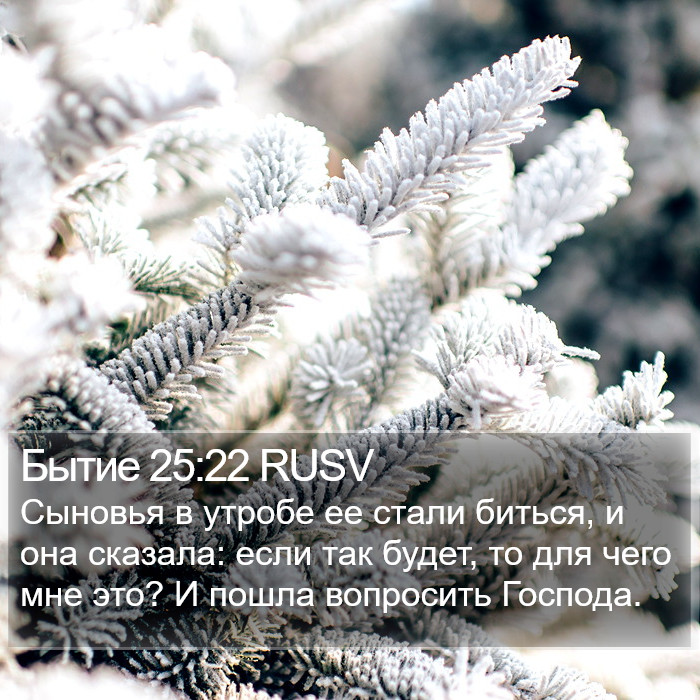 Бытие 25:22 RUSV Bible Study