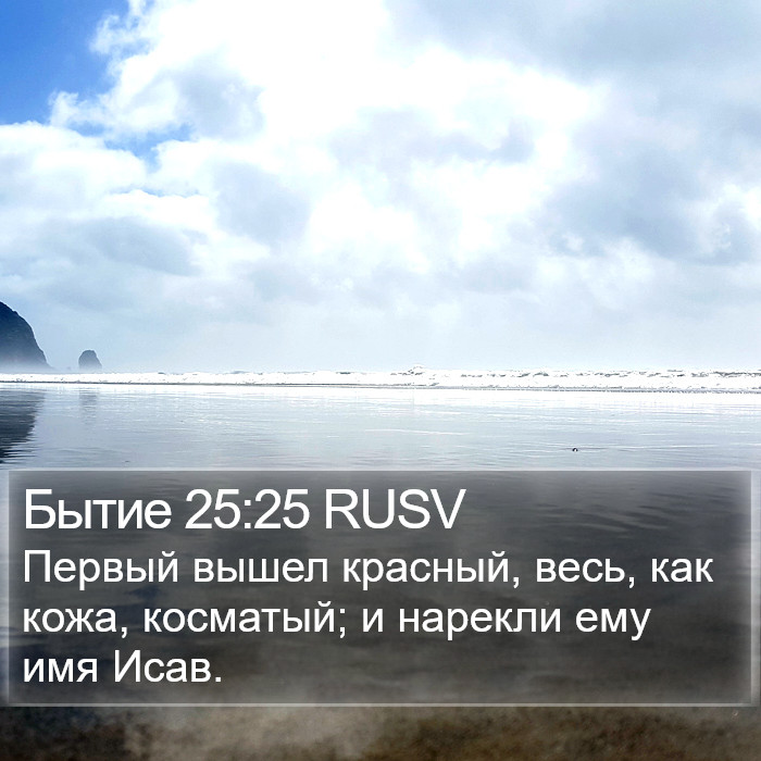 Бытие 25:25 RUSV Bible Study