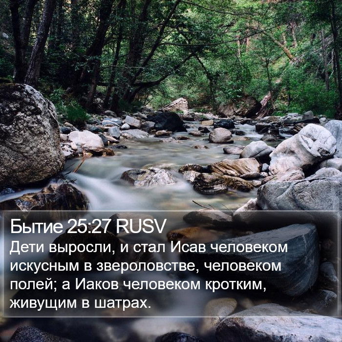 Бытие 25:27 RUSV Bible Study