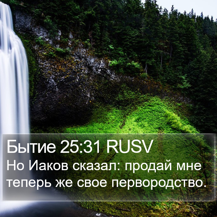 Бытие 25:31 RUSV Bible Study