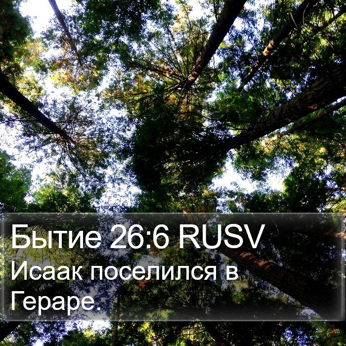 Бытие 26:6 RUSV Bible Study