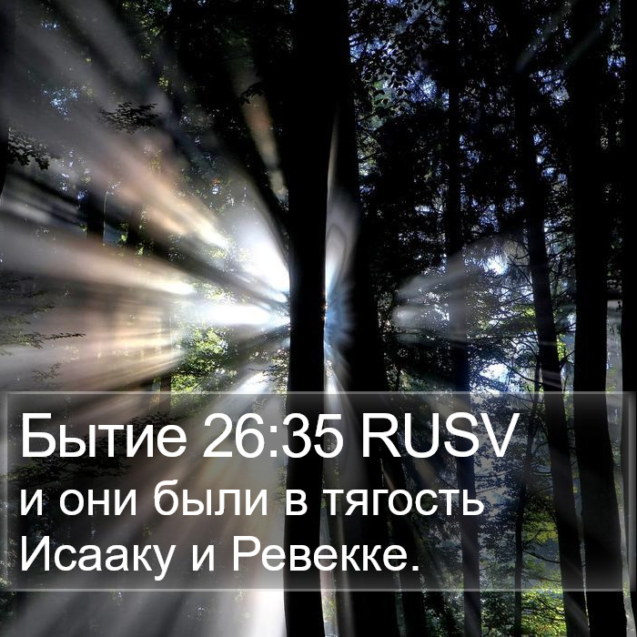 Бытие 26:35 RUSV Bible Study