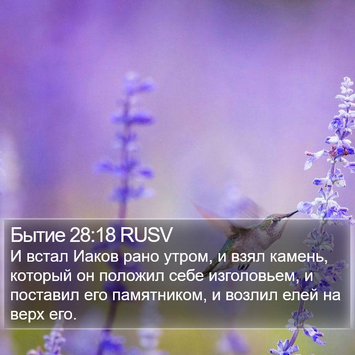 Бытие 28:18 RUSV Bible Study