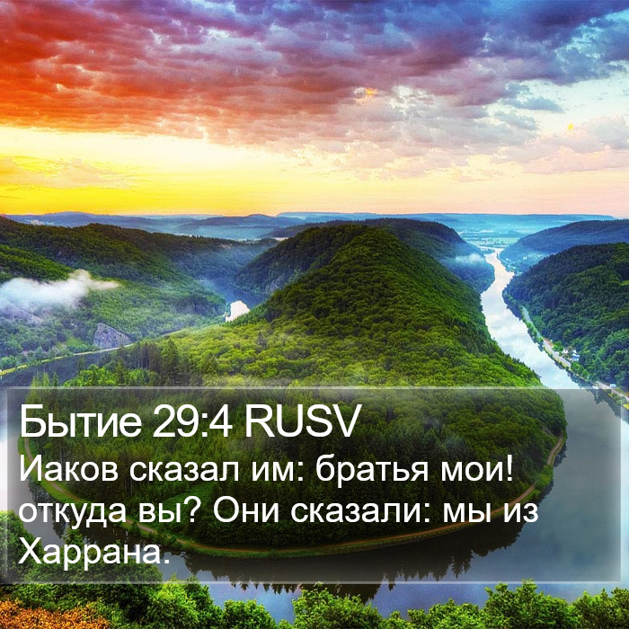 Бытие 29:4 RUSV Bible Study