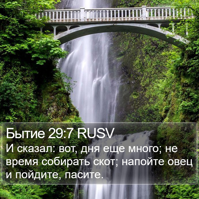 Бытие 29:7 RUSV Bible Study