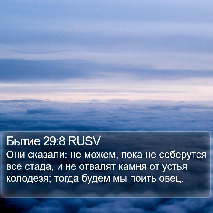 Бытие 29:8 RUSV Bible Study