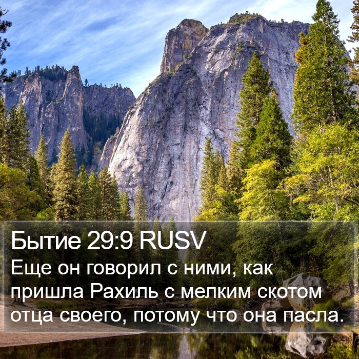 Бытие 29:9 RUSV Bible Study