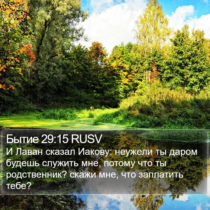 Бытие 29:15 RUSV Bible Study