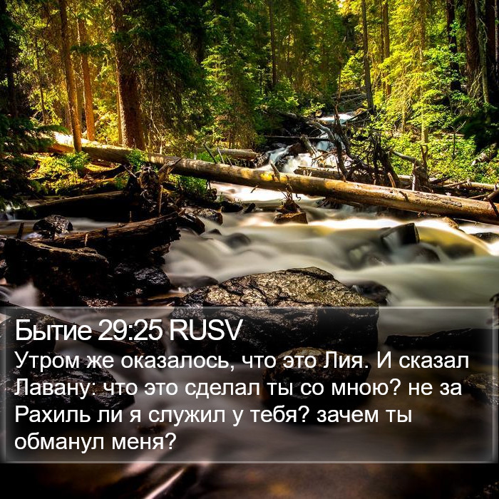 Бытие 29:25 RUSV Bible Study