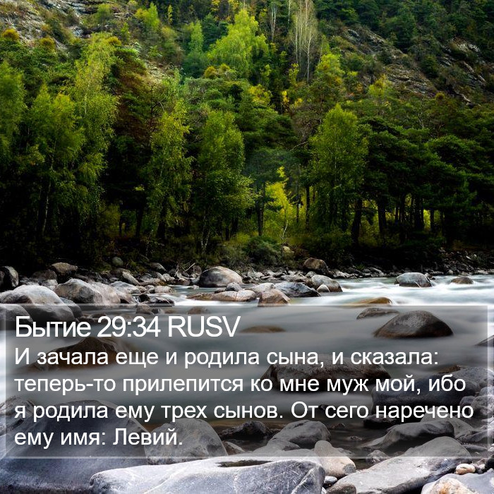 Бытие 29:34 RUSV Bible Study