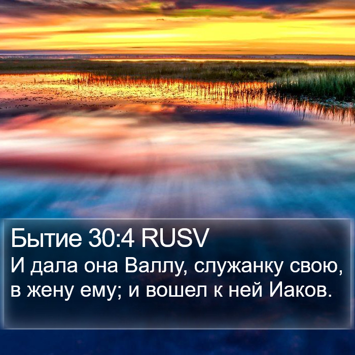 Бытие 30:4 RUSV Bible Study