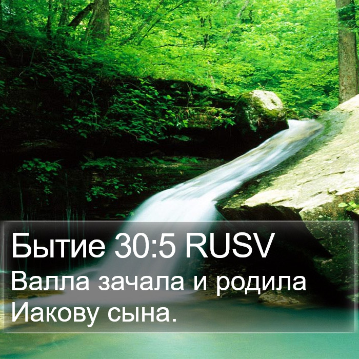 Бытие 30:5 RUSV Bible Study