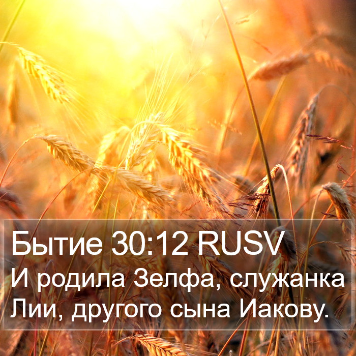 Бытие 30:12 RUSV Bible Study