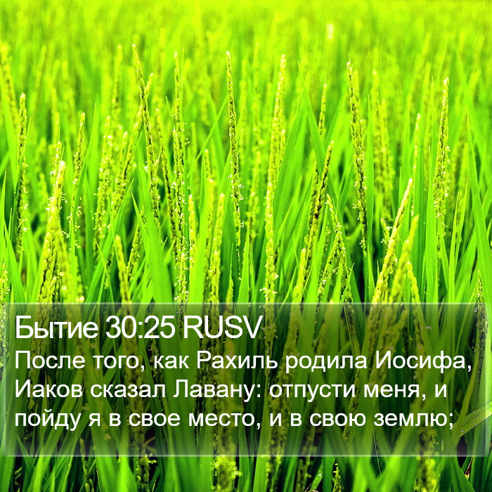 Бытие 30:25 RUSV Bible Study