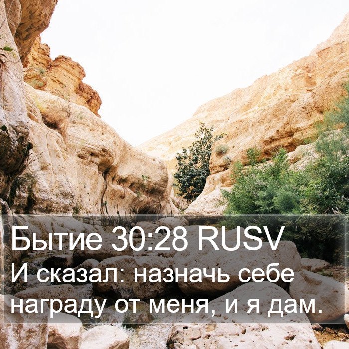 Бытие 30:28 RUSV Bible Study