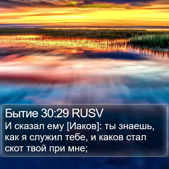 Бытие 30:29 RUSV Bible Study
