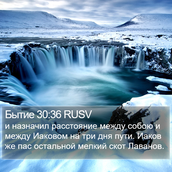 Бытие 30:36 RUSV Bible Study