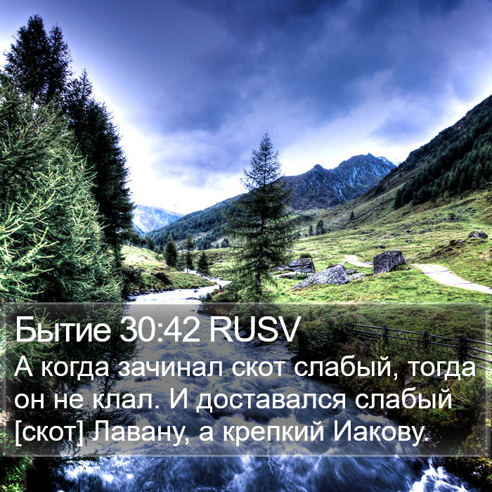 Бытие 30:42 RUSV Bible Study