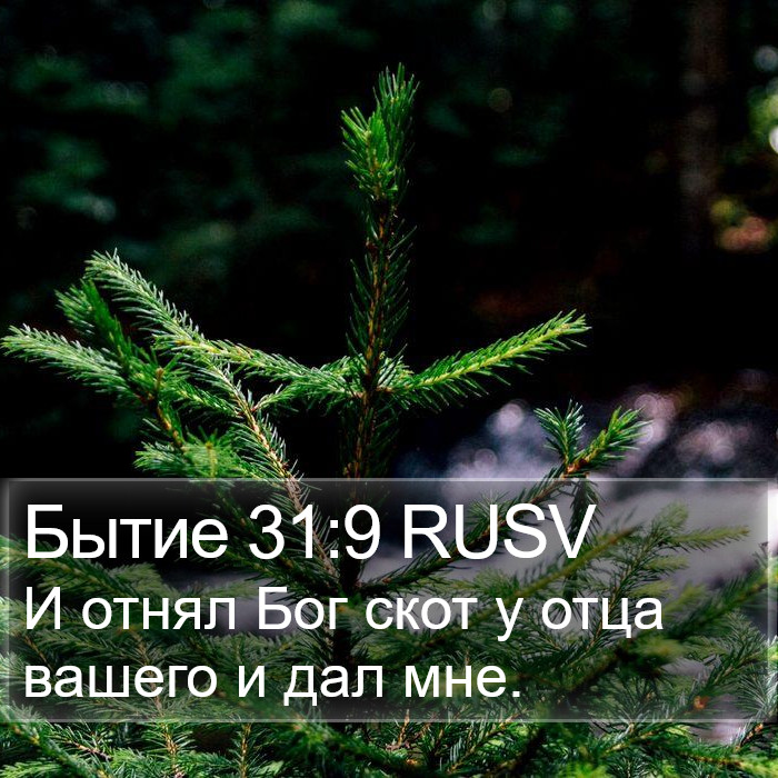 Бытие 31:9 RUSV Bible Study