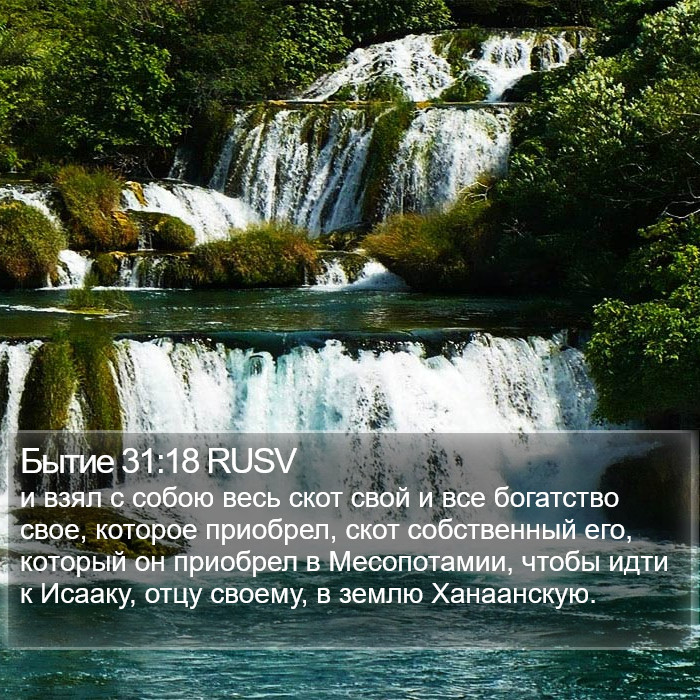 Бытие 31:18 RUSV Bible Study