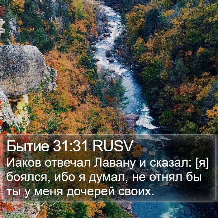 Бытие 31:31 RUSV Bible Study