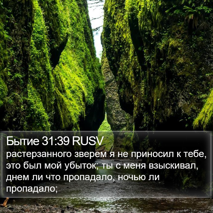 Бытие 31:39 RUSV Bible Study