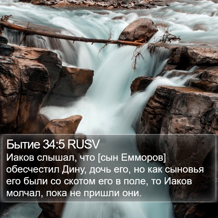 Бытие 34:5 RUSV Bible Study