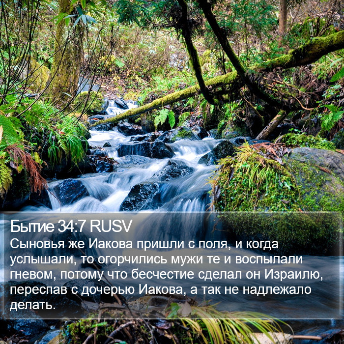 Бытие 34:7 RUSV Bible Study