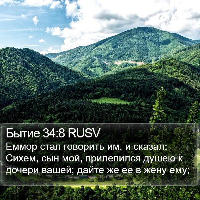 Бытие 34:8 RUSV Bible Study